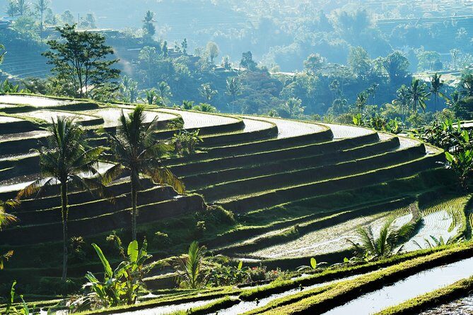 Full-Day Tour to Water Temples and UNESCO Rice Terraces in Bali - What Makes This Tour Great?