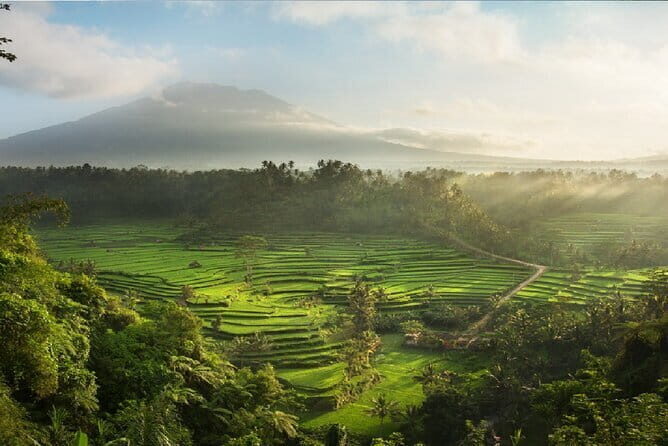Full Day Tour to Water Temples UNESCO Rice Terraces in Bali - Transport & Comfort