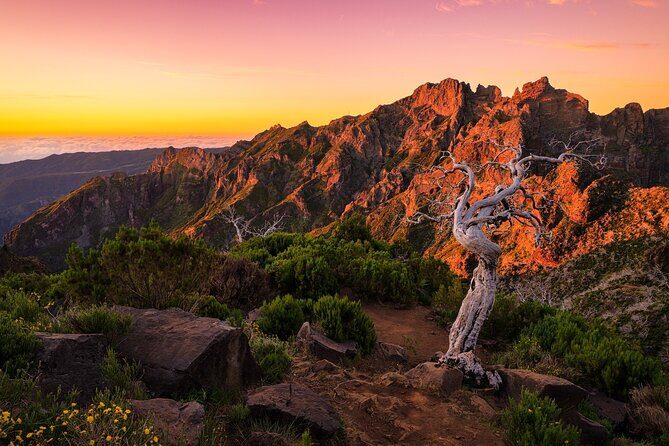 Full Day Tour to West Madeira Island - Exploring Madeira’s Hidden Corners in a 4x4
