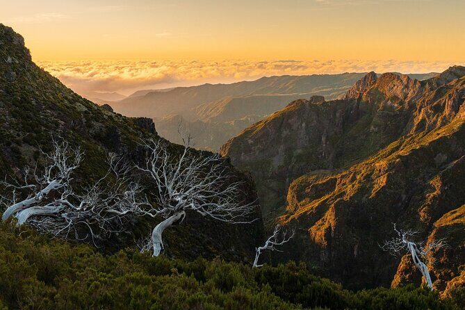 Full Day Tour to West Madeira Island - Practical Details and Value