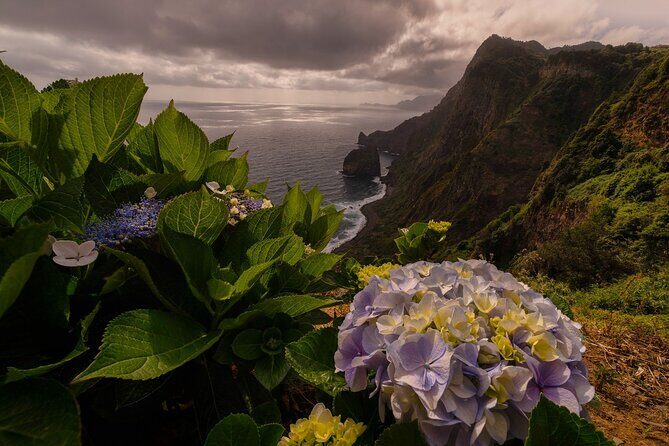 Full Day Tour to West Madeira Island - FAQ