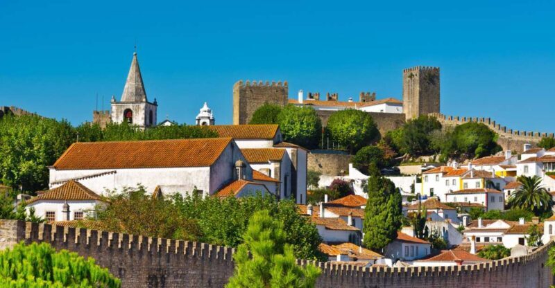 Full Day Tour - Transfer to Porto from Lisbon with Stops - Key Points