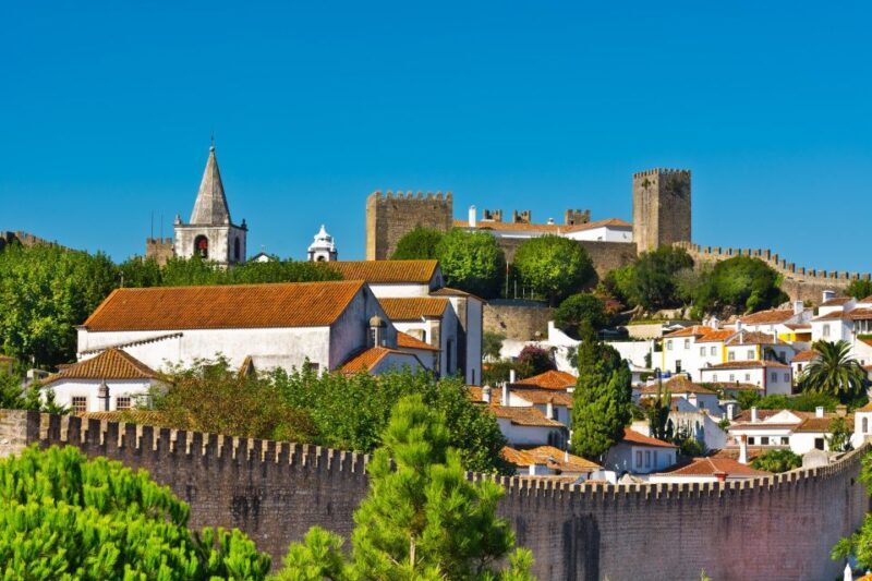 Full Day Tour - Transfer to Porto from Lisbon with Stops - An In-Depth Look at the Journey