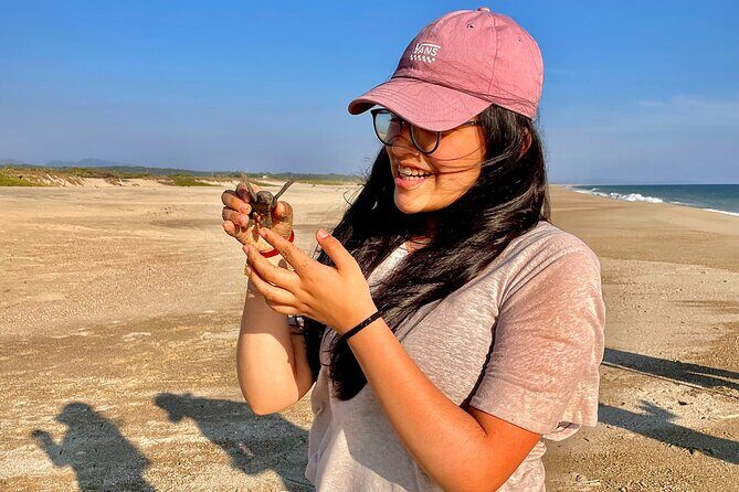 Full Day Tour Turtle Release and Bioluminescence - The Sum Up