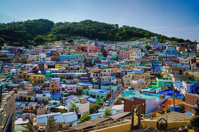 Full-Day Tour Unmissable things to do in Busan - Who Should Consider This Tour?
