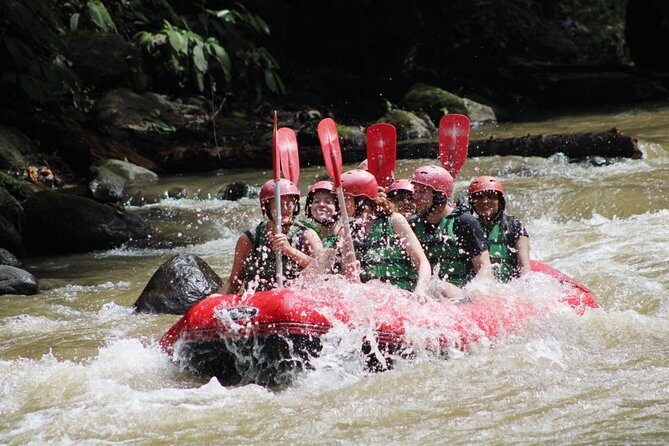 Full-Day Tour: White Water Rafting and Highlight of Ubud with All-inclusive - Detailed Review of the Full-Day Ubud Tour