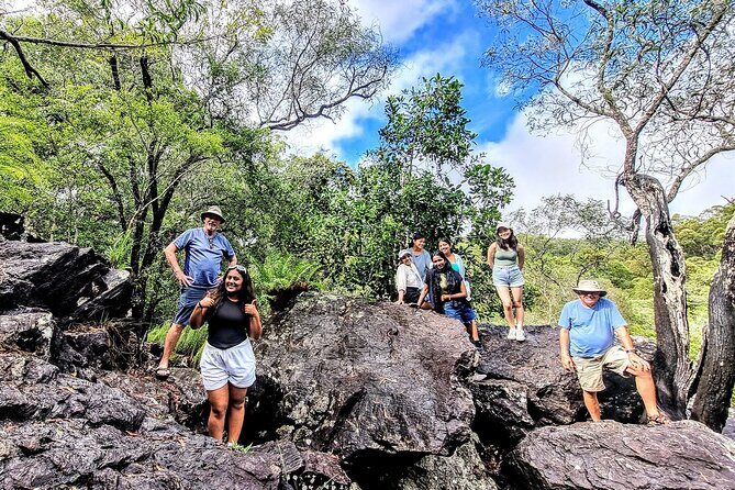 Full-Day Tour Whitsunday Waterfalls Hinterland and secluded beaches - Who Will Love This Tour?