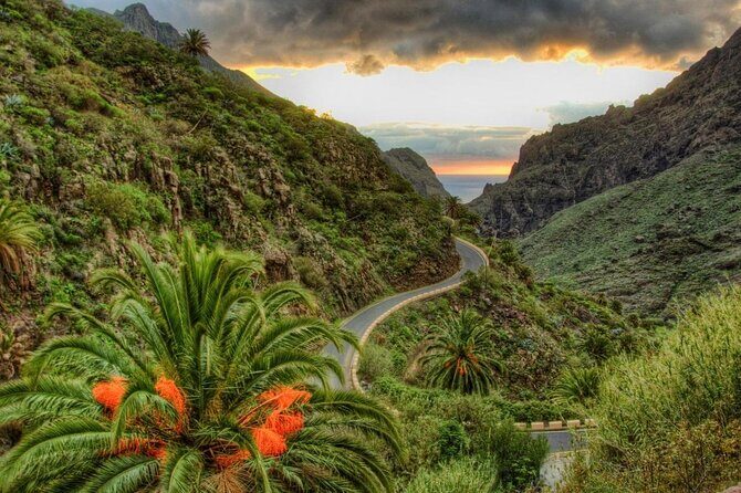Full Day Tour with Certified Guide in Tenerife - Full Day Tour with Certified Guide in Tenerife