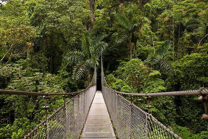 Full day Tour with Hanging Bridges, Waterfall and Volcano Hike - Key Points