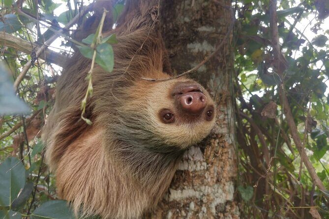 Full day Tour with Hanging Bridges, Waterfall and Volcano Hike - Who Should Consider This Tour?
