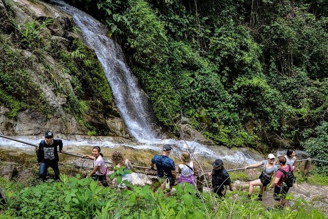 Full-Day Trekking and Sightseeing Tour in Mae Kampong - A Deeper Look into the Full-Day Mae Kampong Tour