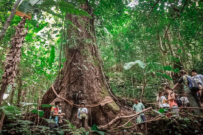 Full-Day Trekking and Sightseeing Tour in Mae Kampong - Who Should Consider This Tour?