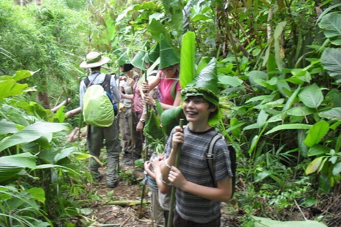 Full Day Trekking & bamboo cooking Tour in Chiang Rai - Key Points