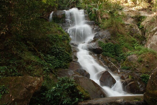 Full Day Trekking & bamboo cooking Tour in Chiang Rai - A Deep Dive into the Full-Day Trekking & Bamboo Cooking Tour