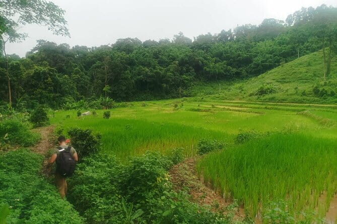 Full Day Trekking & bamboo cooking Tour in Chiang Rai - Authenticity and Traveler Feedback