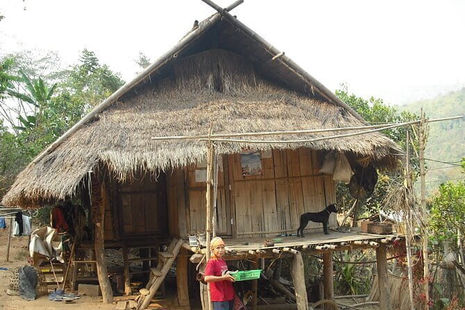 Full Day Trekking & bamboo cooking Tour in Chiang Rai - The Sum Up