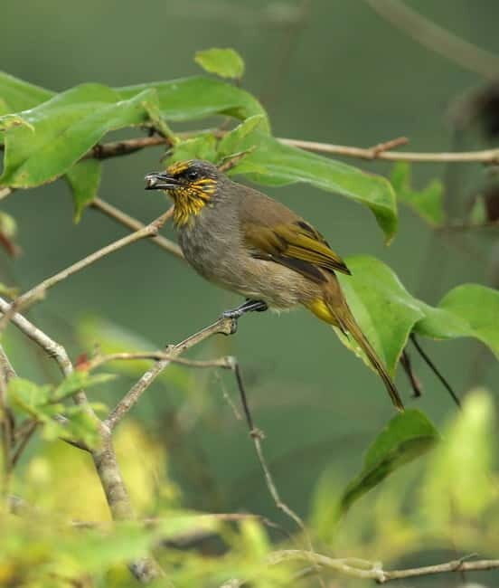 Full-Day Trekking, Biking Explore Cat Ba National Park - Who Should Consider This Tour?