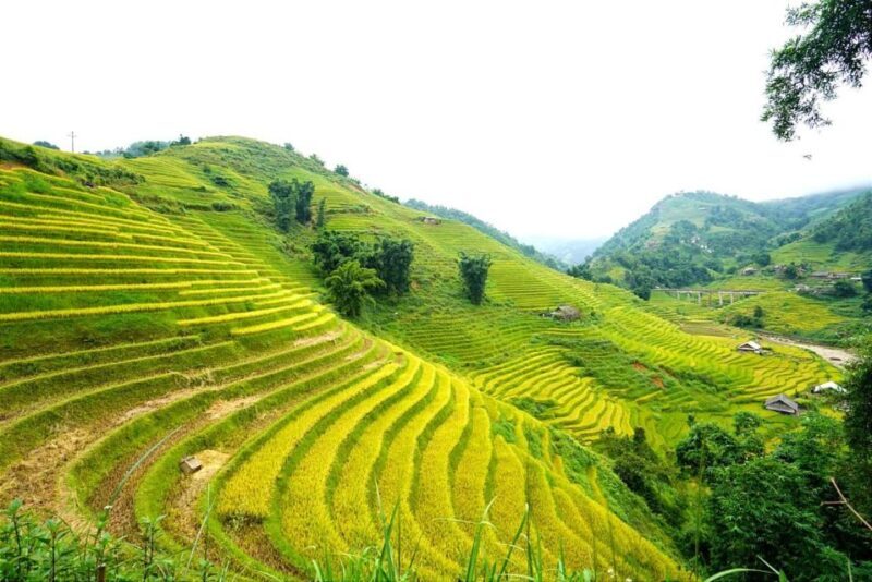 Full Day Trekking Lao Chai-Ta Van and Cat Cat Village - An In-Depth Look at the Tour Experience