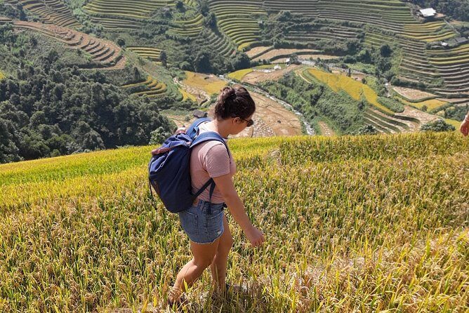 Full Day Trekking Mu Cang Chai - What Makes This Tour Stand Out?