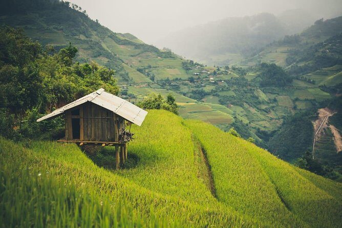 Full Day Trekking Mu Cang Chai - Who Should Consider This Tour?