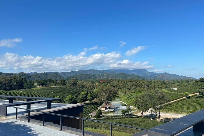 Full Day Trip Around Chiang Rai Highlights with Pick up - The Sum Up