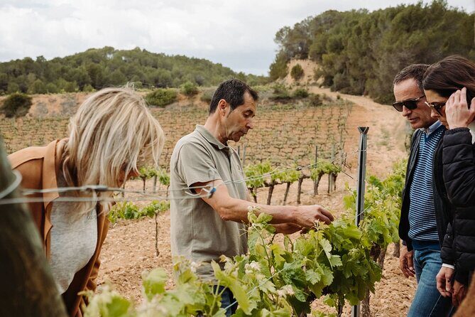 Full-Day Trip Barcelona to Montserrat Monastery & Cava Winery - FAQ