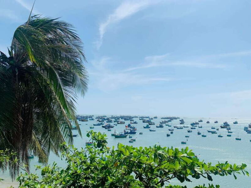 Full Day Trip : Explore Mui Ne from Nha Trang with Sandunes - Who Should Consider This Tour?