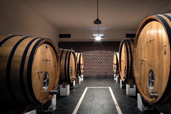 Full-day Trip in Evora, Winery & Cork Factory Private Transport - Key Points