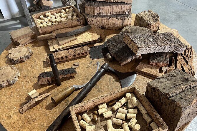 Full-day Trip in Evora, Winery & Cork Factory Private Transport - Who Would Enjoy This Tour Most?