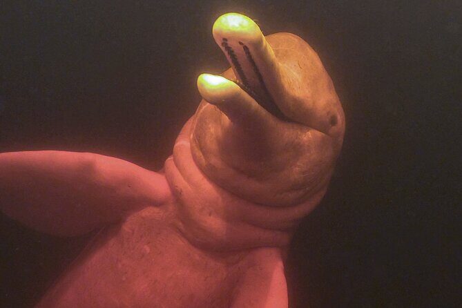 Full Day Trip of Amazon with Lunch - In-Depth Look at the Amazon Day Tour