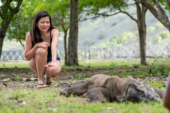 Full Day Trip to Explore 6 Destinations in Labuan Bajo and Komodo - The Real Experience: What Travelers Are Saying