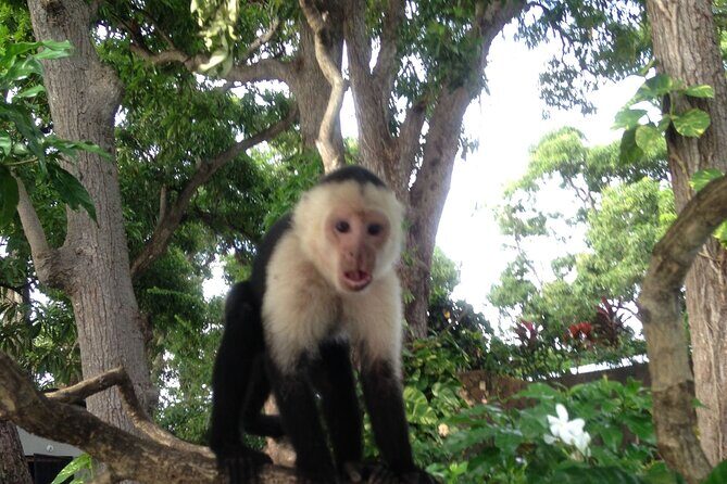 Full-day trip to Nicaragua - Why This Tour Works Well