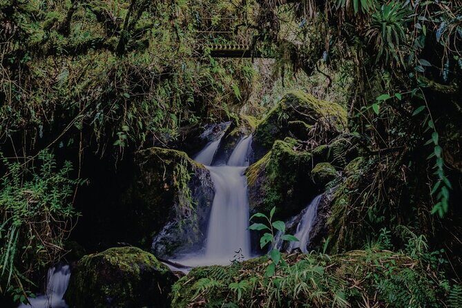 Full Day Trip to Papallacta Hot springs and The Area - Relaxing at Papallacta Hot Springs