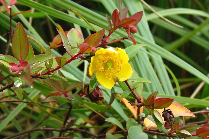 Full Day Trip to Papallacta Hot springs and The Area - FAQs