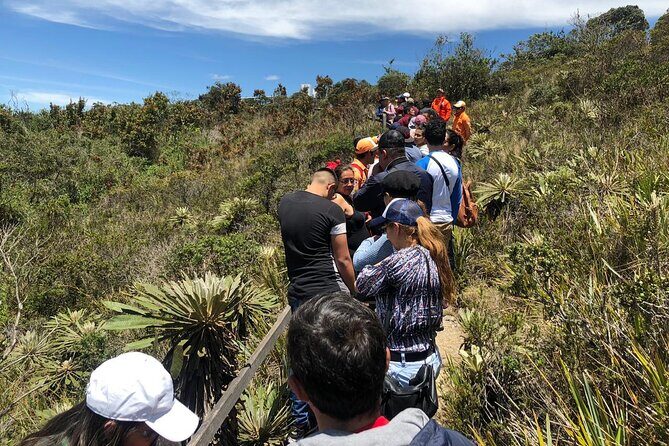 Full-Day Trip to the Salt Cathedral & the Guatavita Lagoon - Analyzing the Price and Value