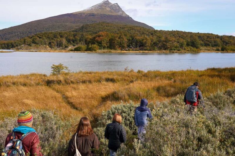 Full Day Trip to Tierra del Fuego National Park - Key Points