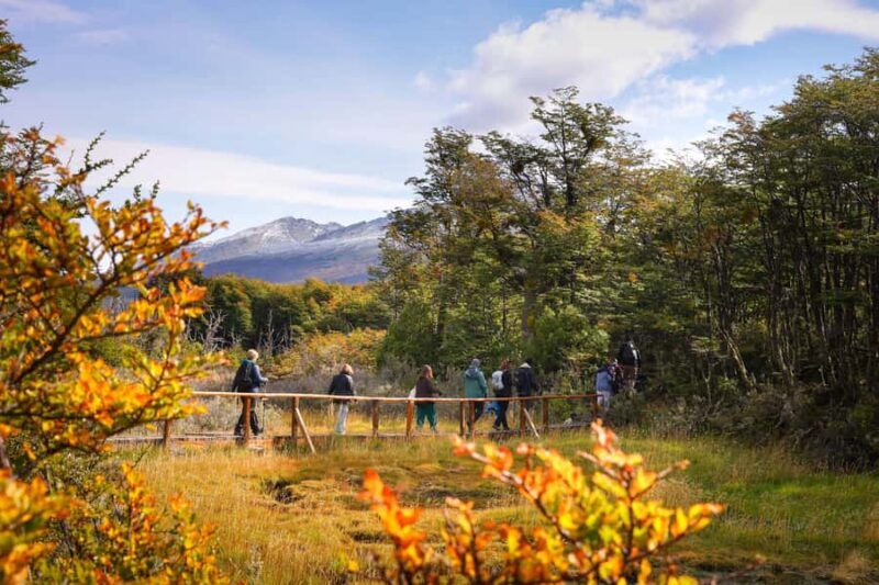 Full Day Trip to Tierra del Fuego National Park - An In-Depth Look at the Full Day Trip to Tierra del Fuego