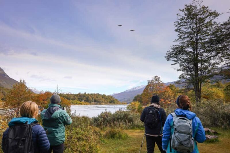 Full Day Trip to Tierra del Fuego National Park - Who Will Love This Tour?