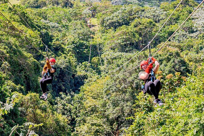 Full-Day Triple Adventure Guided Tour To Bayahibe - FAQs