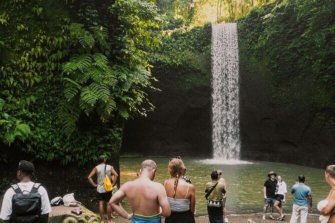 Full Day Ubud Custom Private Tour with Hotel Pickup - A Deep Dive into the Full Day Ubud Private Tour