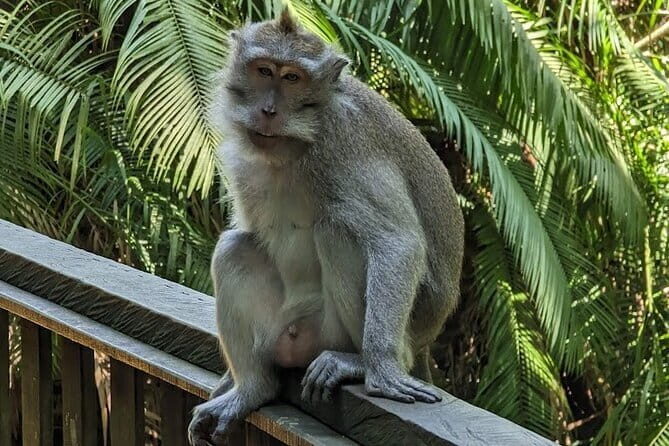 Full Day Ubud Tanah Lot Uluwatu All Inclusive Private Tour - Key Points