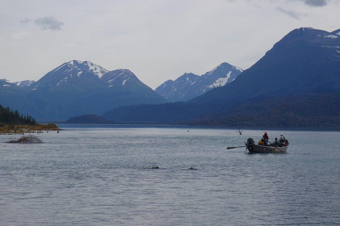 Full-Day Upper Kenai River Guided Fishing Trip - Frequently Asked Questions