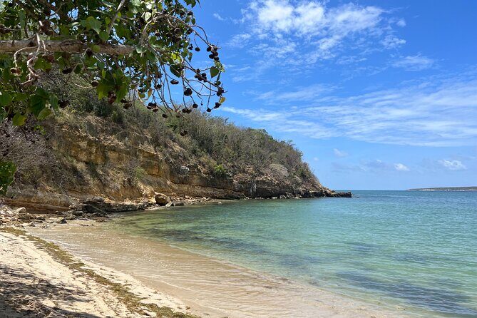 Full Day Vamos Pa la Isla Southwest Experience - A Deep Dive into the Southwest Puerto Rico Tour