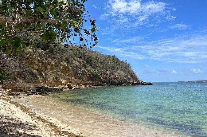 Full Day Vamos Pa la Isla Southwest Experience - Who Should Consider This Tour?