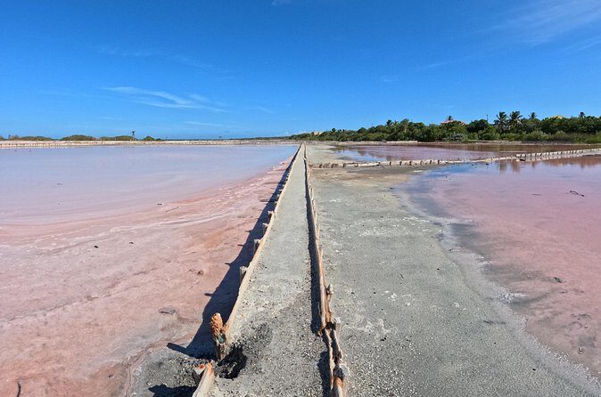 Full Day Vamos Pa la Isla Southwest Experience - Summary of Value