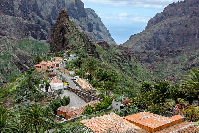 Full-Day Vip Masca and Teide Tour From South Tenerife - Who Should Book This Tour?