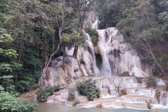 Full Day Visit & Cook at Local family' farm and Hiking to Kuang si waterfalls - A Detailed Look at Your Day in Luang Prabang