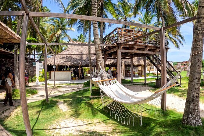 Full Day Vista Mare Beach Club Tierra Bomba just 10 min from City - What to Expect from the Itinerary