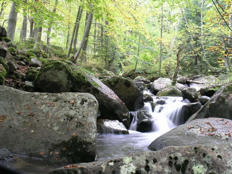 Full-Day Vitosha and Cherni Vruh Peak Hiking Tour - Final Thoughts