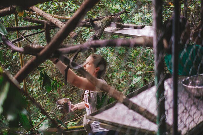 Full Day Volunteer at Wildlife Sanctuary - Key Points